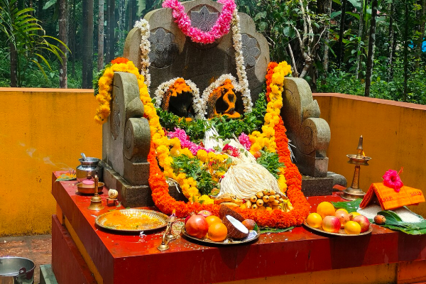 உங்கள் வாழ்க்கையில் உள்ள சிக்கல்கள் விலக நாக வழிபாடு செய்து பாருங்கள் | Naga Valipaadu For Kalasarpa Thosham In Tamil