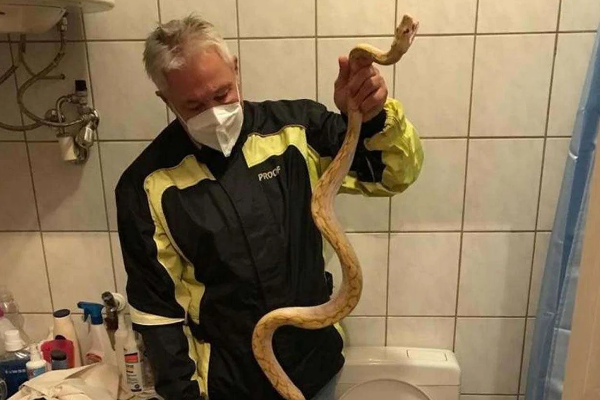 டாய்லெட்டில் காத்திருந்த  பேரதிர்ச்சி... மர்ம உறுப்பை கடித்த மிக நீளமான ராட்சத மலைப்பாம்பு! கதறி துடித்த நபர் | Horror Inside Toilet Austrian Man Gets Bitten By