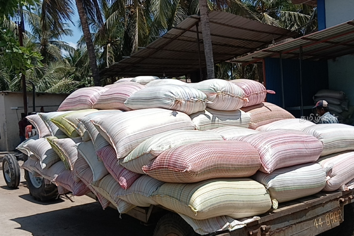 நெல் கொள்வனவில் அரசாங்கம் எடுத்த அதிரடி நடவடிக்கை | Government S Move Regarding Paddy Procurement