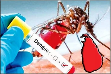 நாளாந்தம் பதிவாகும் நூற்றுக்கணக்கான டெங்கு நோயாளர்கள்: விடுக்கப்பட்டுள்ள எச்சரிக்கை
