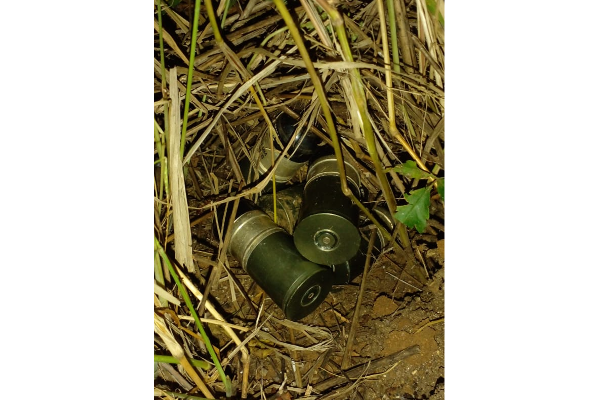 திருகோணமலை வயல் பகுதியில் துப்பாக்கி ரவைகள் மீட்பு | Recovery Of Firearms In Trincomalee Field Area திருகோணமலை வயல் பகுதியில் துப்பாக்கி ரவைகள் மீட்பு | Recovery Of Firearms In Trincomalee Field Area