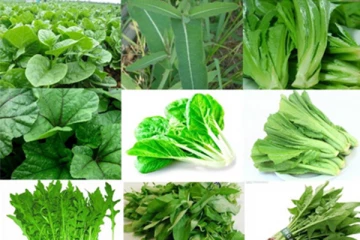 கீரை வகைகளும் அதை சாப்பிட்டால் கிடைக்கும் அற்புத பயன்களும்! அவசியம் தெரிந்து கொள்ளுங்கள்