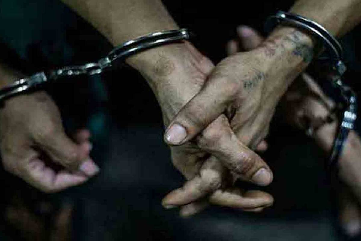மன்னாரில் சட்டவிரோதமாக கடற்றொழிலில் ஈடுபட்ட 3 பேர் கைது! | 3 Arrested For Fishing Using Explosives Mannar மன்னாரில் சட்டவிரோதமாக கடற்றொழிலில் ஈடுபட்ட 3 பேர் கைது! | 3 Arrested For Fishing Using Explosives Mannar