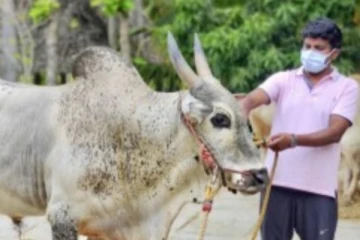 மக்கள் செல்வாக்கும் மலைக்க வைக்கும் சொத்து மதிப்பும் : விஜயபாஸ்கர் சொத்து மதிப்பு எவ்வுளவு தெரியுமா?