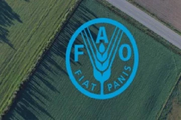 ஐ.நாவின் உணவு மற்றும் விவசாய அமைப்பின் மாநாடு இன்று முதல் ஆரம்பம்