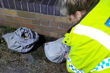 சாலையோரமாக கிடந்த தலையணை உறைகள் அசைவதைக் கண்ட பெண்: தெரியவந்த அதிரவைக்கும் விடயம்