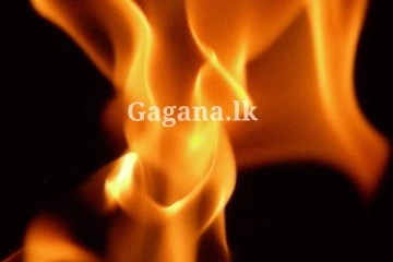 සිය ගණනක් නිවාස විනාශ වී ගිය ගින්න - 3,000කට නිවාස අහිමි වෙයි.. (විදෙස්)