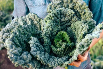 பக்க விளைவுகளை ஏற்படுத்தும் பச்சை காய்கறிகள்... இந்த தவறை செய்யாதீர்கள்? பேராபத்து