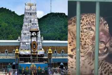 இத்தனை மணி நேரம் தான் இனி மலைக்கோயிலுக்கு செல்ல முடியும் - திருப்பதி தேவஸ்தானம் முக்கிய அறிவிப்பு!