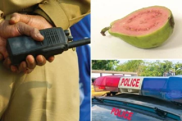 ஒற்றை கொய்யா பழத்திற்காக இளைஞர் அடித்து கொலை: நீதி வேண்டும் என சகோதரர் முறையீடு