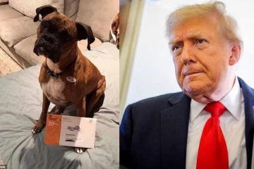 நாயை வாக்களிக்க செய்து வாக்குச்சீட்டை பதிவிட்ட பெண்: எதிர்கொள்ளும் 5 குற்றச்சாட்டுகள்