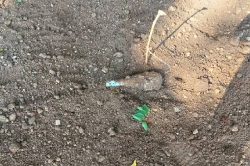 பாடசாலையொன்றில் இருந்து 7 மோட்டார் குண்டுகள் மீட்பு