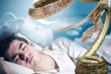 கனவில் பாம்பு வந்தால் என்ன அர்த்தம்? இரட்டைப் பாம்பு வந்தால் நீங்க பேரதிர்ஷ்டசாலியாம்