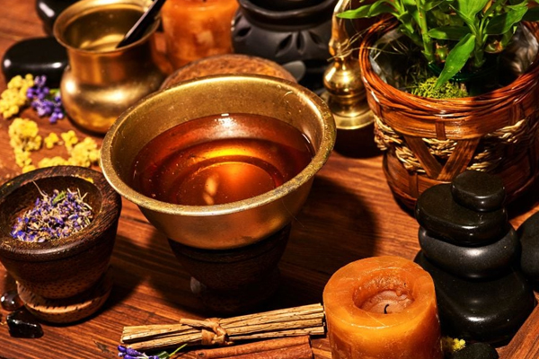 இலங்கையின் ஆயுர் வேதத்தை உலகம் முழுவதும் பரப்ப வேண்டும் | Ayurveda Of Sri Lanka Spread All Over The World