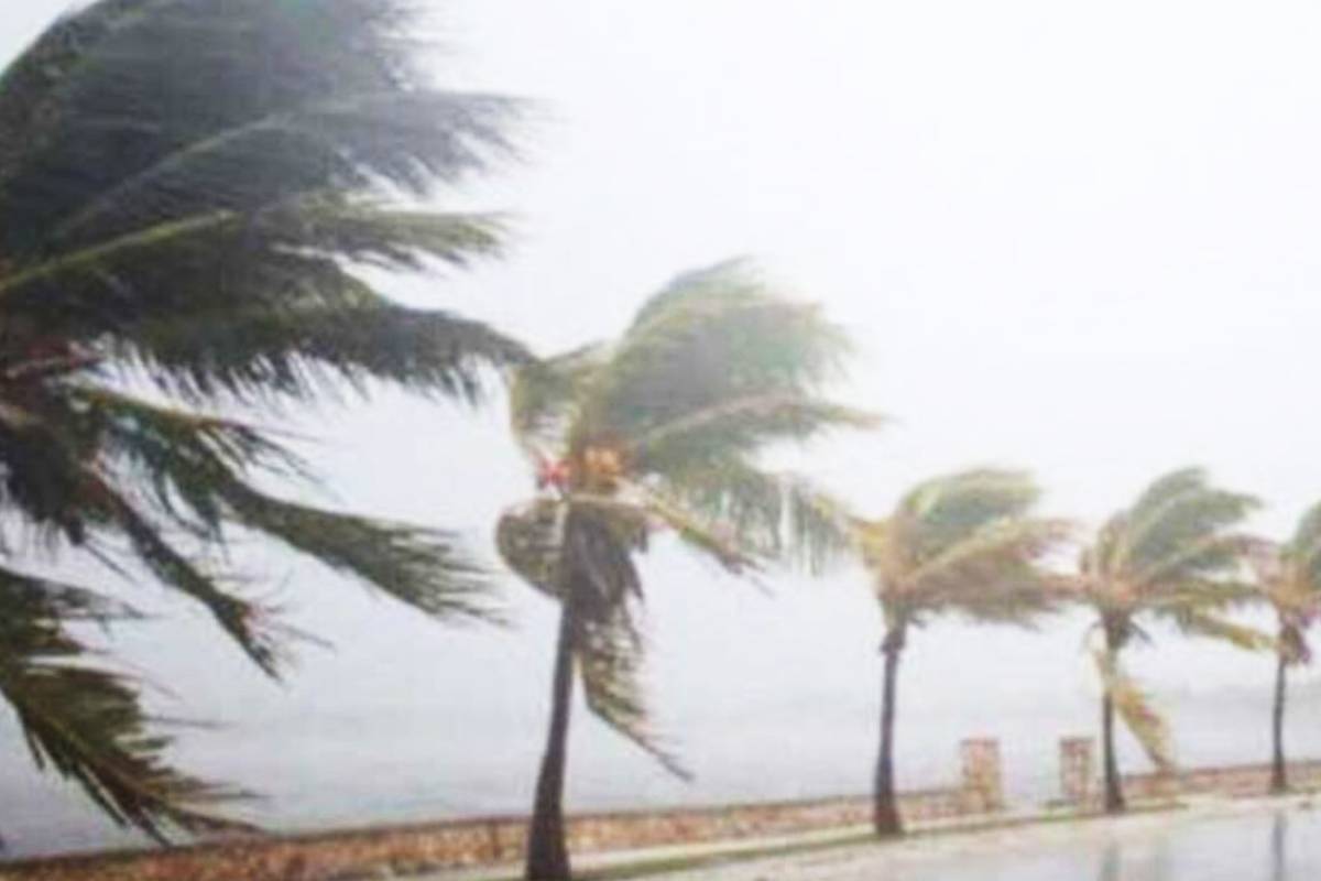 இலங்கையின் கரையோர பிரதேசங்களுக்கு பலத்த காற்று குறித்த எச்சரிக்கை! | Weather Advisory Issued For Strong Winds