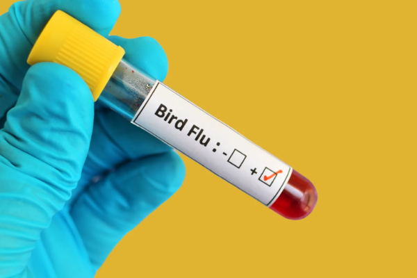 கொடிய நோயால் பலியான அமெரிக்கர்: விடுக்கப்பட்டுள்ள எச்சரிக்கை | First Human H5N5 Bird Flu Death In Washington