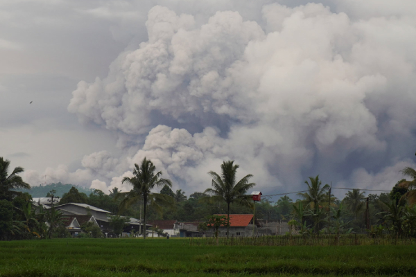 உச்ச நிலைக்கு உயர்த்தப்பட்ட எச்சரிக்கை! வெளிநாடொன்றை கதிகலங்க செய்யும் எரிமலை | Indonesia S Semeru Volcano Erupts உச்ச நிலைக்கு உயர்த்தப்பட்ட எச்சரிக்கை! வெளிநாடொன்றை கதிகலங்க செய்யும் எரிமலை | Indonesia S Semeru Volcano Erupts