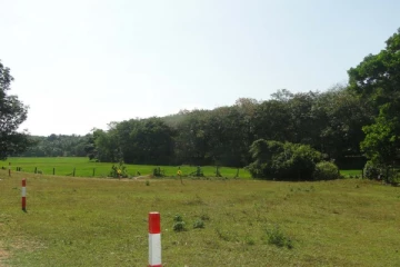 யாழில் பெருமளவு நிலப்பரப்பு விடுவிக்க நடவடிக்கை