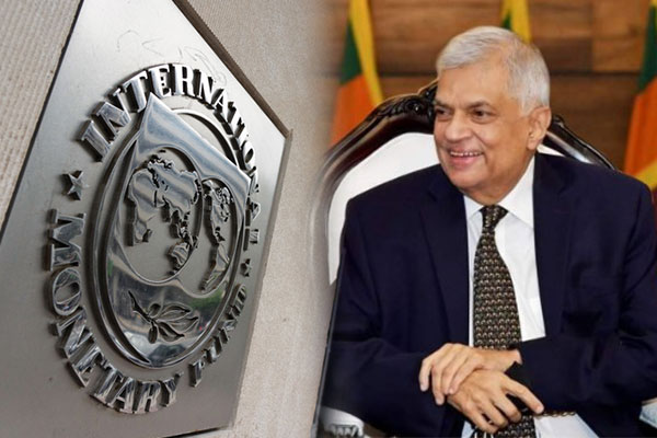 யாழ்ப்பாணத்துக்கு விஜயம் செய்யவுள்ள IMF குழு | Imf To Visit Jaffna
