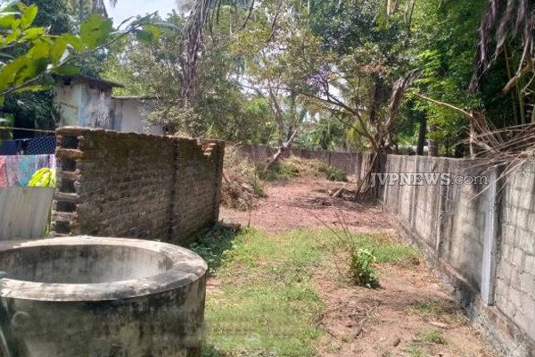 தமிழர் பகுதியொன்றில் கொடிய நோயால் 41 பேருக்கு ஏற்பட்ட நிலை! | Valaichchenai Identified 41 Dengue Patients