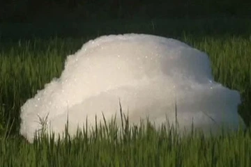 வயல்வெளியில் ராட்சத நுரைக் கோளங்கள்: பதுளையில் சம்பவம்(Photo)