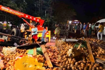 தேங்காய்களை ஏற்றிச் சென்ற லொறி கவிழ்ந்து கோர விபத்து! இருவர் படுகாயம்