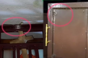 தினமும் வீட்டிற்கு வந்து விசிட் அடித்த பாம்பு: நடுங்க வைக்கும் காட்சி! அவதானம் மக்களே