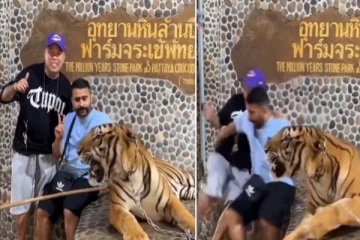 Viral Video: புலியுடன் புகைப்படம் எடுக்க சென்றவருக்கு நேர்ந்தது என்ன?