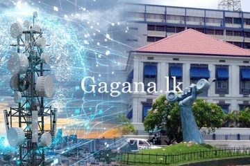 ටෙලිකොම් කොටස් චීනයේ සහ ඉන්දියාවේ ප්‍රබල සමාගම් දෙකකට.