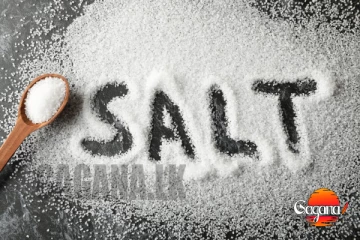 ලුණු ගැන ඇහෙන අලුත්ම කතාව - හම්බන්තොට ලේවායේ ලුණු ඇටයක්වත් නෑ