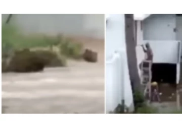 ஊரே வெள்ளத்தில் மூழ்க... இந்த ஆள் செய்த செயலை பாருங்க... - வீடியோ வைரல்