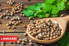 கொத்தமல்லியில் இத்தனை மருத்துவ குணங்களா? இந்த நோய் எல்லாம் விரட்ட உதவுமாம்!