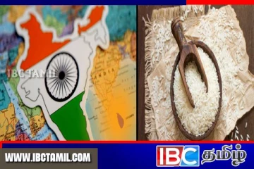 அரிசி ஏற்றுமதிக்கு தடை விதிக்கும் இந்தியா: பாஸ்மதி அரிசியின் விலையில் ஏற்பட்டுள்ள மாற்றம்!