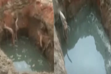 அங்கன்வாடிக்கு தோண்டப்பட்ட பள்ளம் - தவறி விழுந்து சிறுவன் பரிதாப பலி!