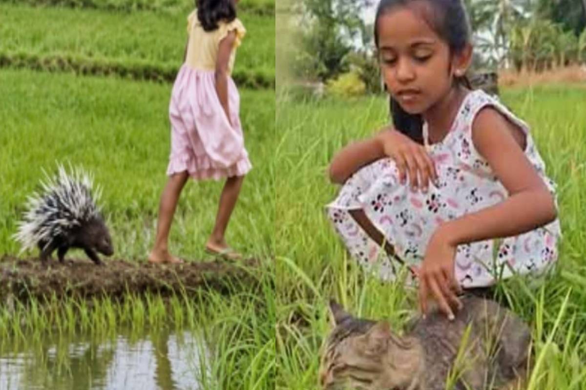 சர்வதேச அளவில் நெகிழ்ச்சியை ஏற்படுத்திய இலங்கை சிறுமியின் காணொளி..! வெளியான உண்மை கதை | Shretha And Her Best Friend Won The World S Love சர்வதேச அளவில் நெகிழ்ச்சியை ஏற்படுத்திய இலங்கை சிறுமியின் காணொளி..! வெளியான உண்மை கதை | Shretha And Her Best Friend Won The World S Love