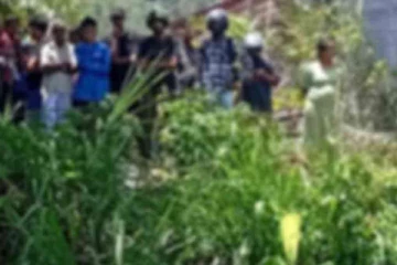 வயலில் வரப்பு கட்டச் சென்ற குடும்பஸ்தருக்கு நேர்ந்த விபரீதம்