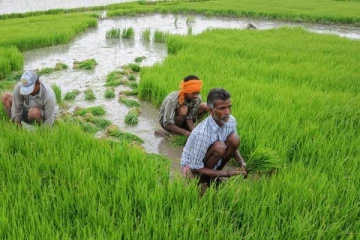 விவசாயிகளுக்கு மகிழ்ச்சித் தகவலை வெளியிட்ட அமைச்சு
