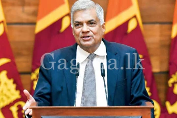 ජනපතිගෙන් පිටරට සිටින ඩයස්පෝරාවට ආරාධනයක්.