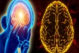 Amoeba Disease: மூளையை பாதிக்கும் அமீபா தற்காக்கும் வழிகள் எவை? மருத்துவ விளக்கம்