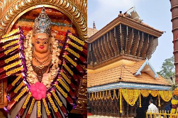 இப்படி ஒரு பிரசாதமா! மஞ்ச் முருகன் கோவில் வரலாறு தெரியுமா? வியக்க வைக்கும் பின்னணி | Munch Murugan Temple In Kerala History இப்படி ஒரு பிரசாதமா! மஞ்ச் முருகன் கோவில் வரலாறு தெரியுமா? வியக்க வைக்கும் பின்னணி | Munch Murugan Temple In Kerala History