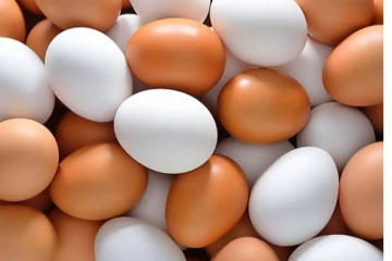 බිත්තර කන හැමෝම මේගැන දැනුවත් වන්න..දැනගත් වහාම දැනුම් දෙන්න..