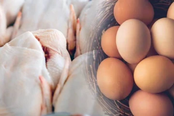 அதிகரிக்கும் முட்டை மற்றும் கோழி இறைச்சியின் விலை: வர்த்தகர்களுக்கு விடுக்கப்பட்ட எச்சரிக்கை