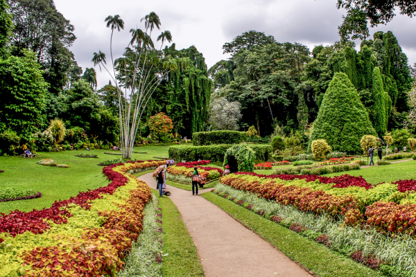 தாவரவியல் பூங்காக்களினால் இலங்கைக்கு குவிந்த வருமானம் | Botanical Gardens Income Crosses Rs One Billion