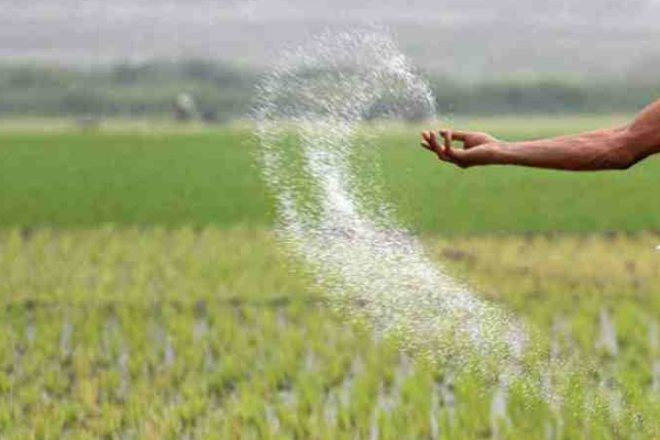 உரம் இறக்குமதி செய்வதற்கு விவசாய அமைச்சு தீர்மானம் | Ministry Of Agriculture Resolution Import Fertiliz