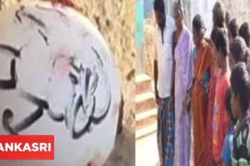 நாயே வாலை ஆட்டும், வால் நாயை ஆட்டாது: ரோஹித்த அபே குணவர்தன