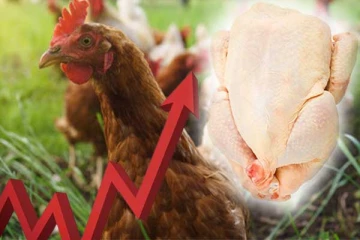 கோழி இறைச்சியின் விலை தொடர்பில் வெளியான அறிவிப்பு