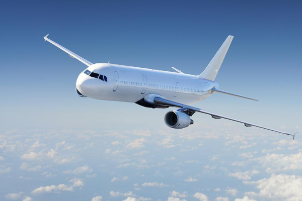 நாடொன்றில் இருந்து திருப்பி அனுப்பப்பட்ட 12 இலங்கையர்கள் | 12 Sri Lankans Repatriated From Israel