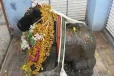 செவ்வாய் தோஷம்: நந்திக்கு தாலி கட்டும் கோயில் பற்றி தெரியுமா?