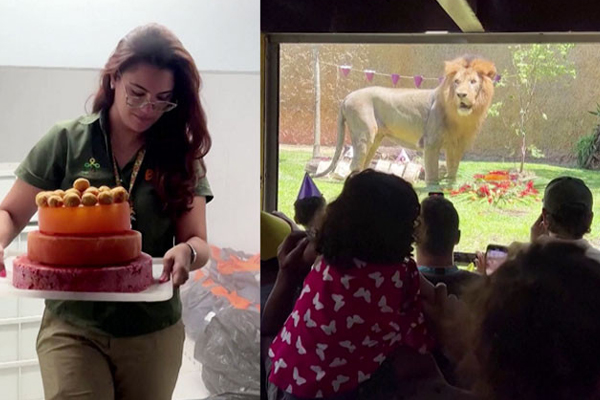 14ஆவது பிறந்தநாள் கொண்டாடும் சிம்பா | Simba Celebrates His 14Th Birthday