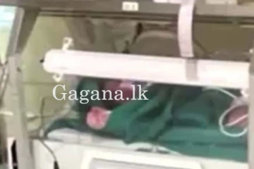 වැඩිම බරකින් උපන් බිලිඳා. - කිලෝ 7 ඉක්මවයි. (VIDEO)